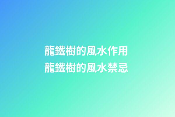 龍鐵樹的風水作用 龍鐵樹的風水禁忌